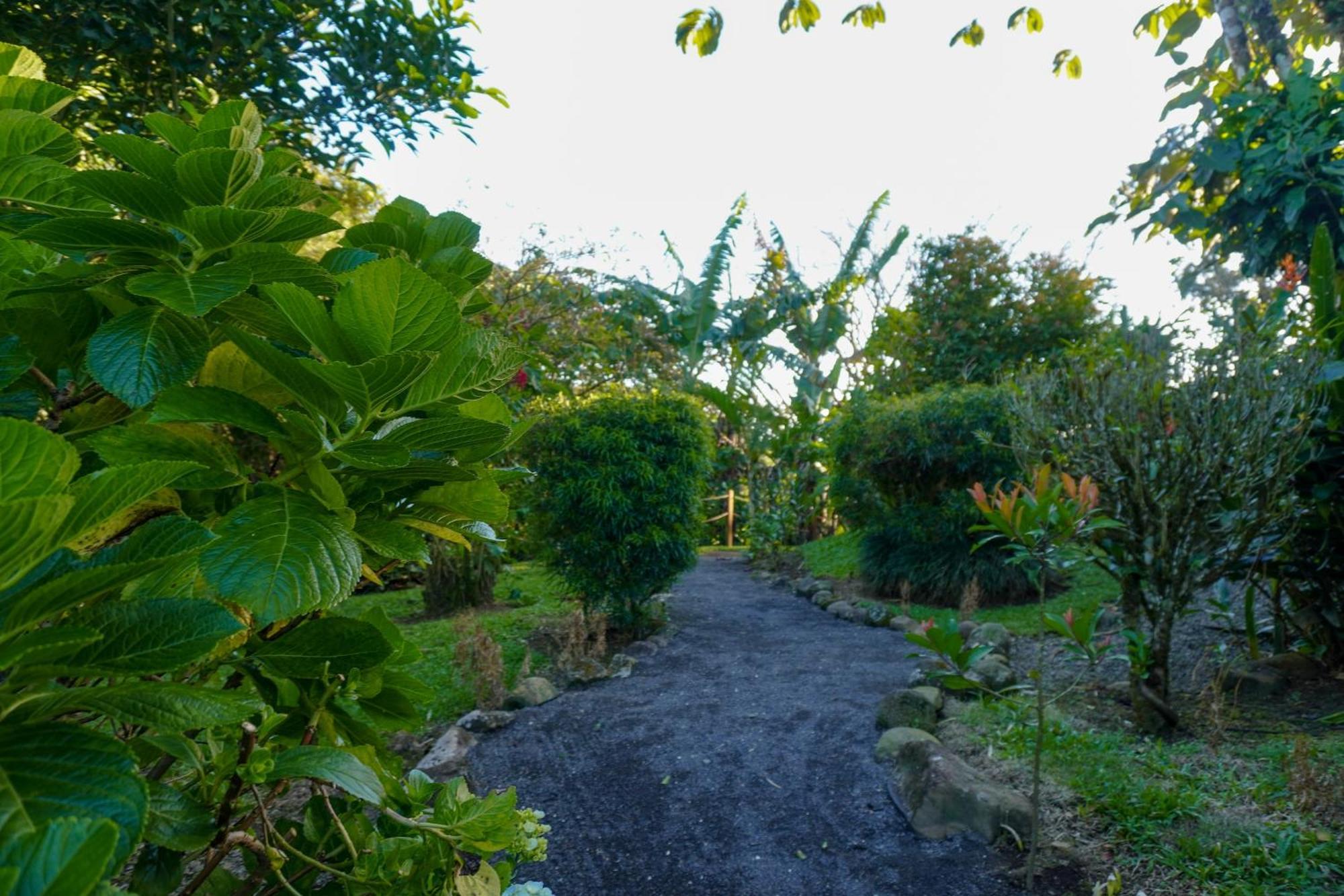 Sueno Rio Celeste Boutique B&B 比加瓜 外观 照片
