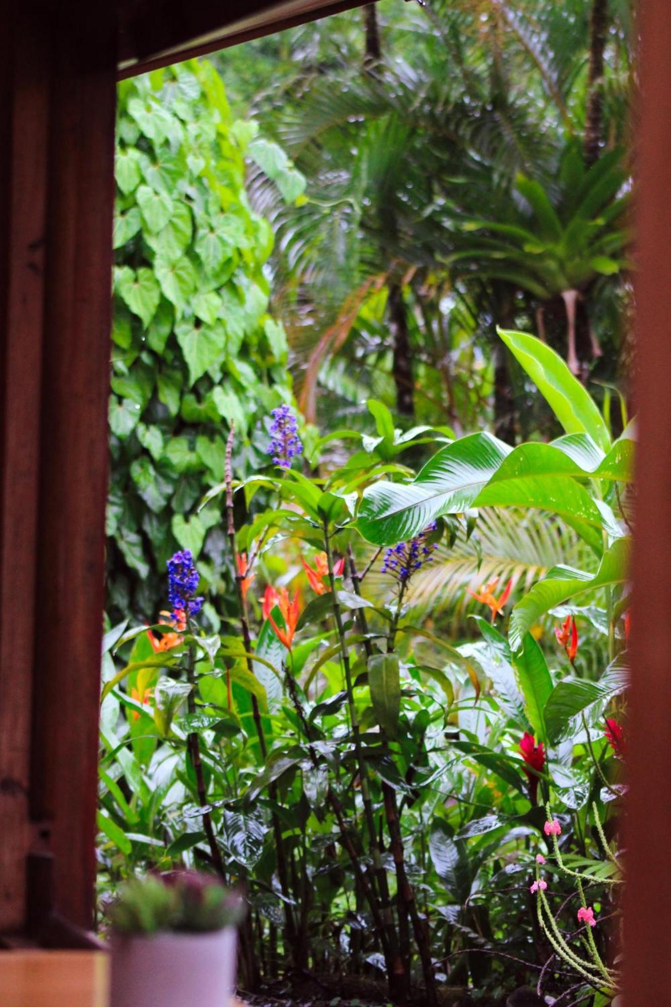 Sueno Rio Celeste Boutique B&B 比加瓜 外观 照片