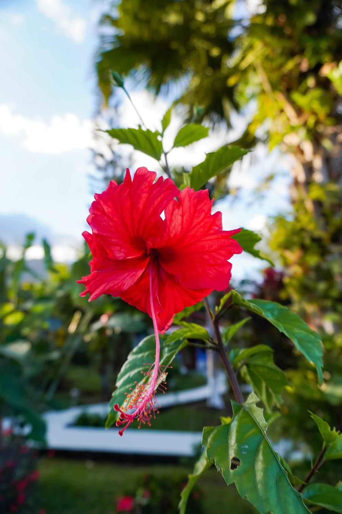 Sueno Rio Celeste Boutique B&B 比加瓜 外观 照片