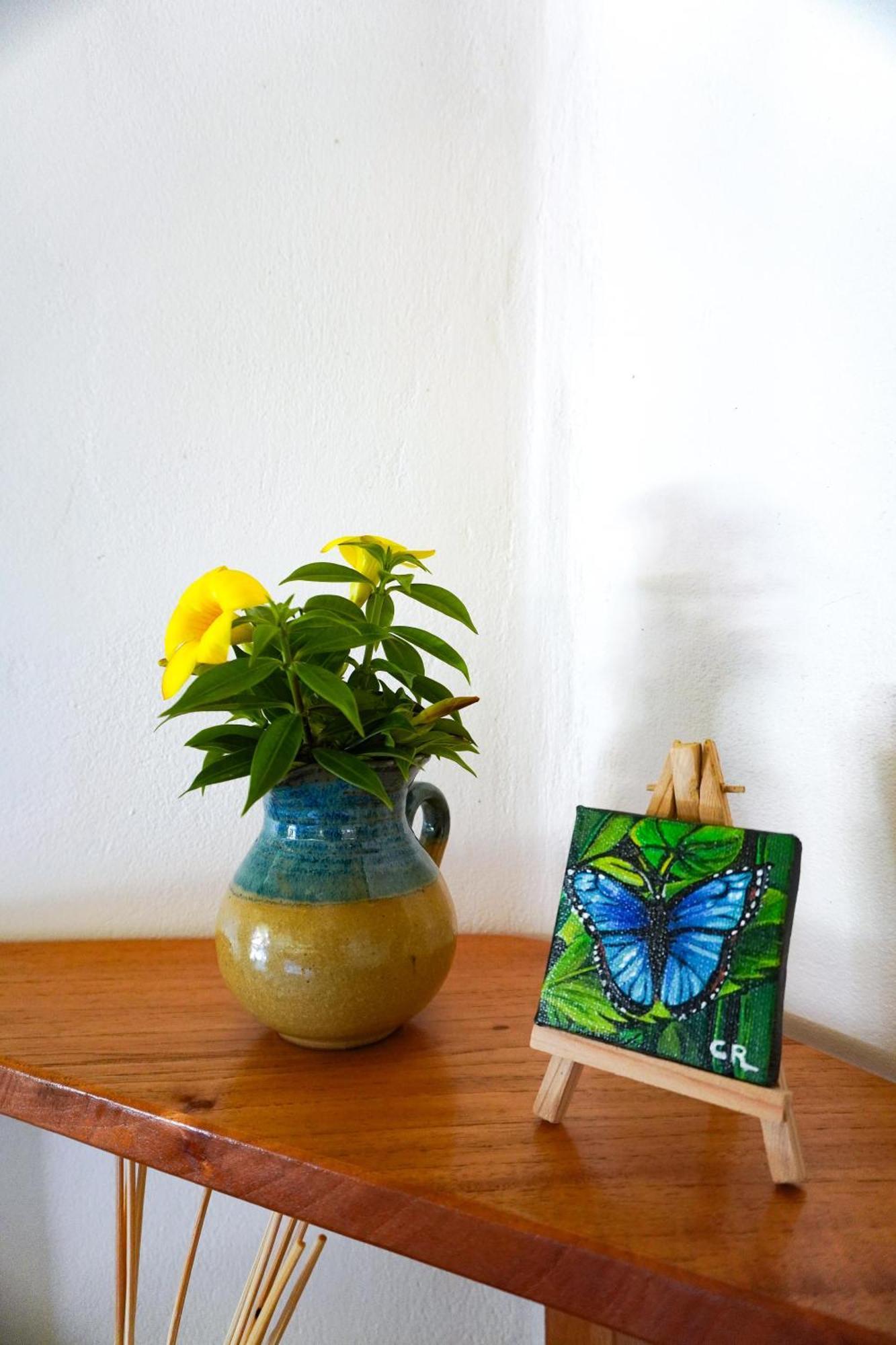Sueno Rio Celeste Boutique B&B 比加瓜 外观 照片
