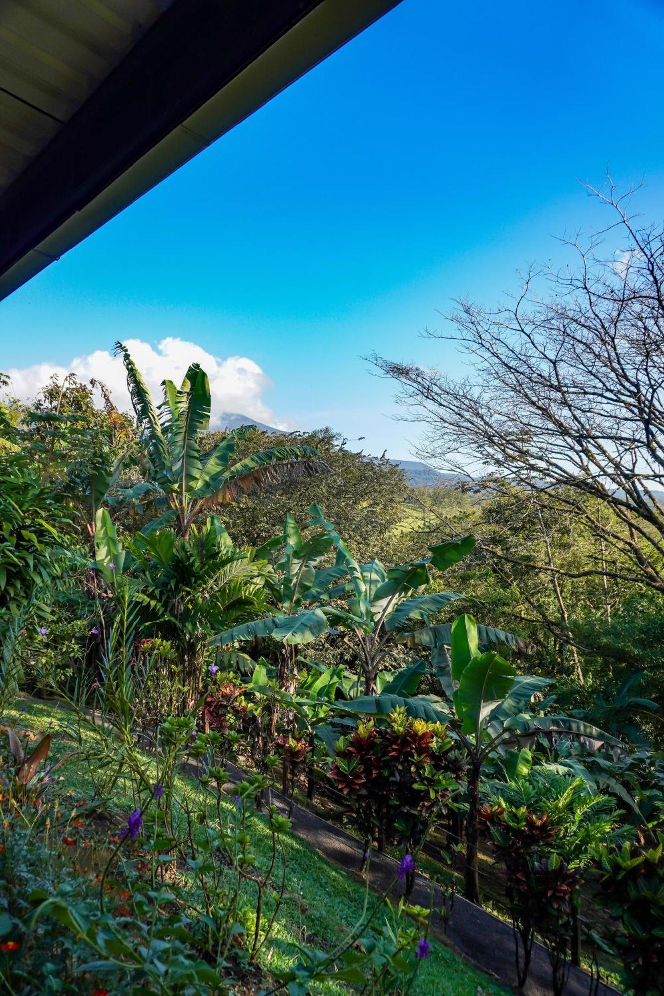 Sueno Rio Celeste Boutique B&B 比加瓜 外观 照片