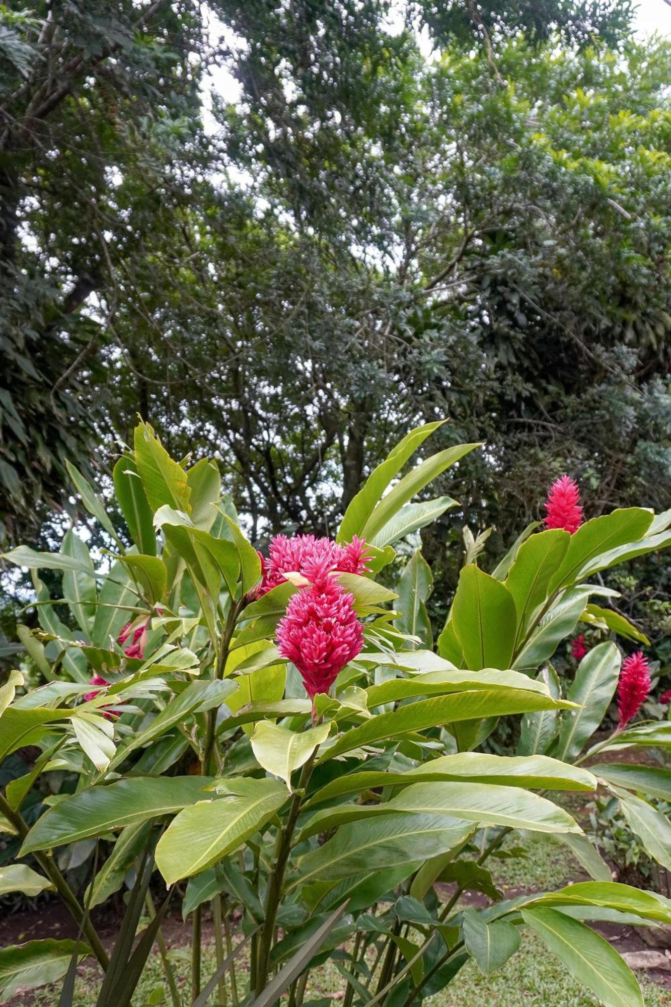 Sueno Rio Celeste Boutique B&B 比加瓜 外观 照片